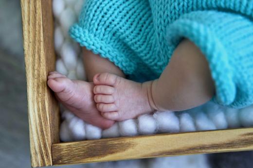 Newborn a rodinné foto v Pardubicích