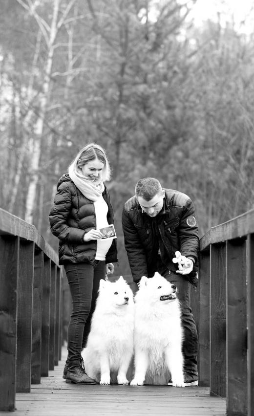 Těhotenská fotografie