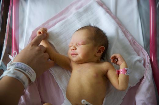 Newborn fotografie